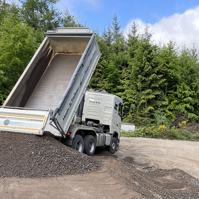 RheinLahnBau_Baumschienen_03