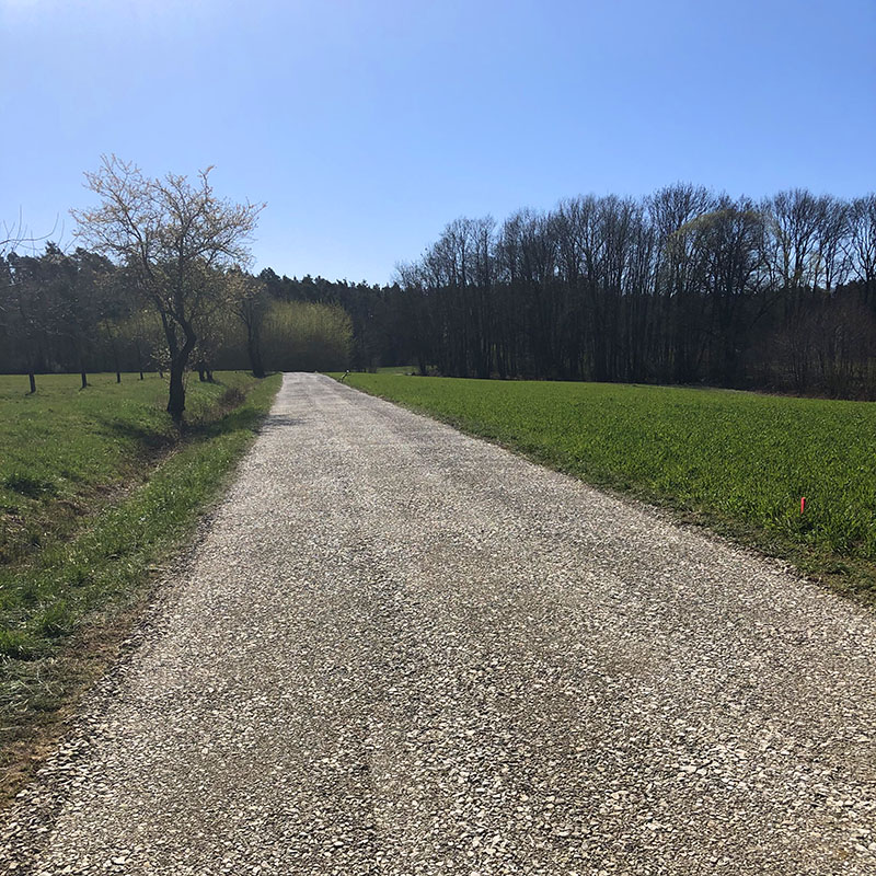 RheinLahnBau_Baumschienen_04